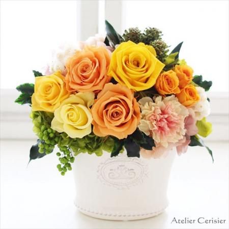 <img class='new_mark_img1' src='https://img.shop-pro.jp/img/new/icons13.gif' style='border:none;display:inline;margin:0px;padding:0px;width:auto;' />㥪 ץꥶ֥ɥե