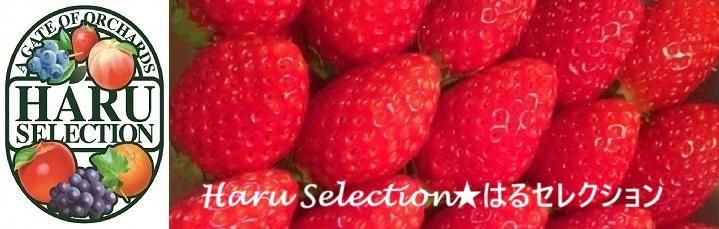  �Ϥ륻�쥯�����