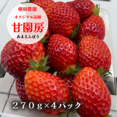 いちご | 横田農園 甘園房 270g4パック- 福島のおいしい米と酒 いちご | 横田農園 甘園房 270g4パック- 福島のおいしい米と酒