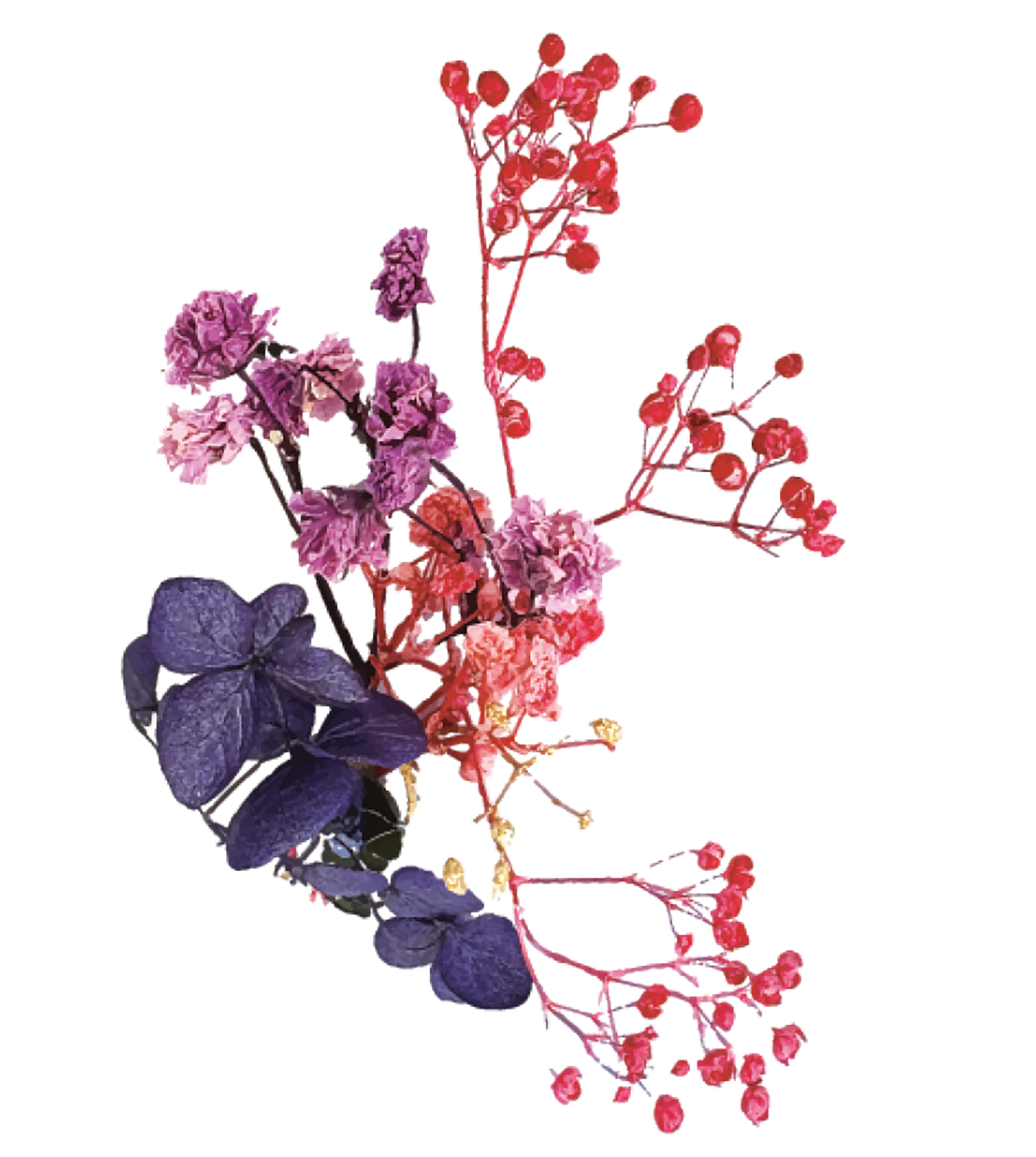 ֥ꥶɥե