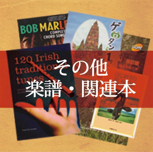 ¾衦Ϣ/Other Practice Books and Related Books