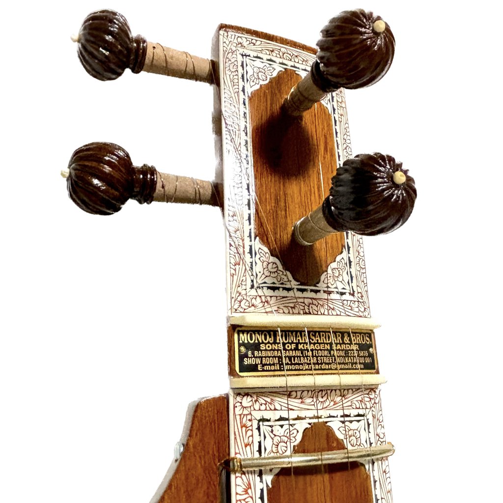　エスラジ Esraj ④（monoj kumar u0026bros 製）木製糸巻き仕様　ファイバーケース付き - ::民族楽器コイズミ::