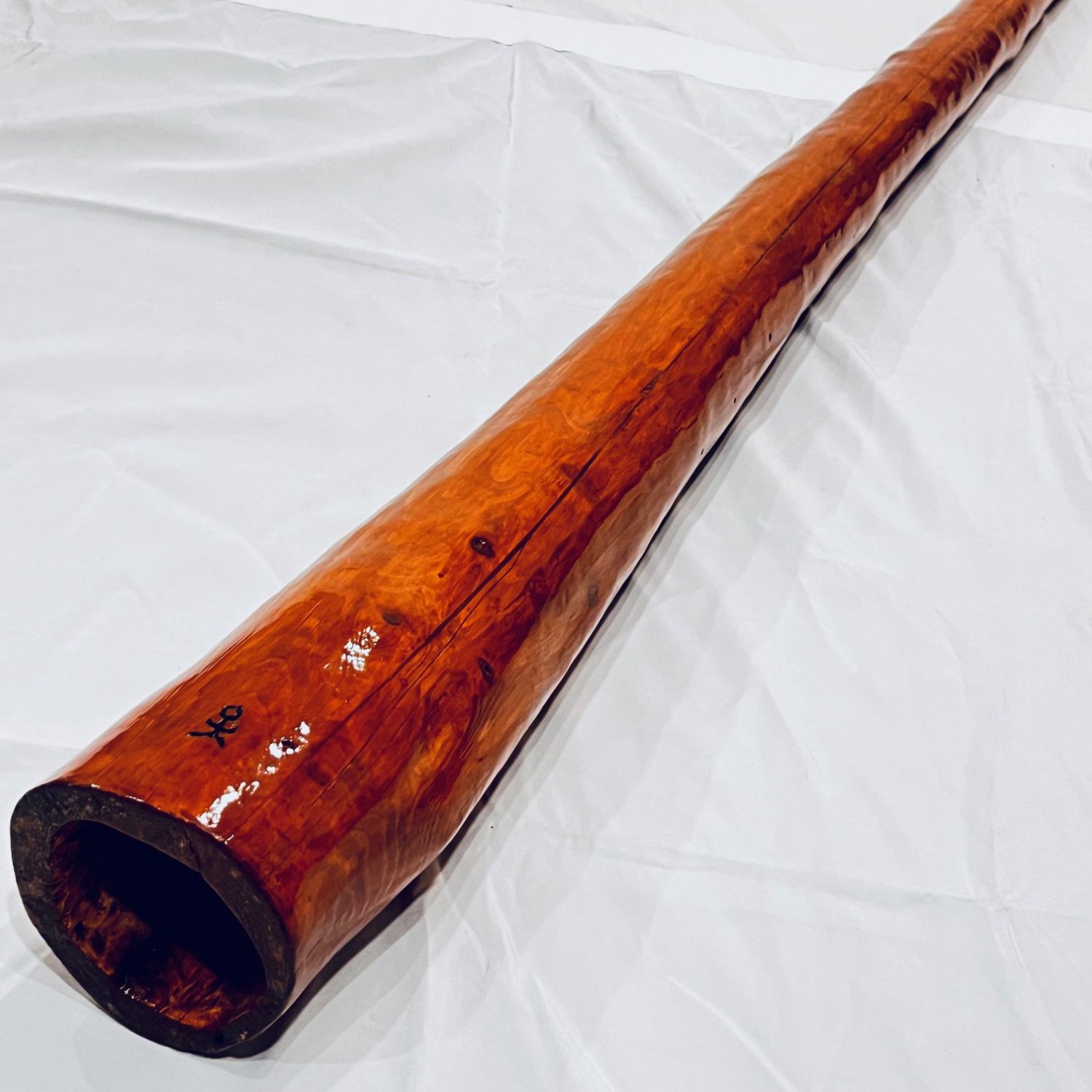 ○C) ディジュリドゥ didgeridoo (イダキ) オーストラリア楽器 Djalu Gurruwiwi 民族楽器 木製 金管楽器 全長162cm  ジャルー・グルウィウィ - 管楽器