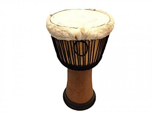 ١Lamp Fall percussionڥͥN55