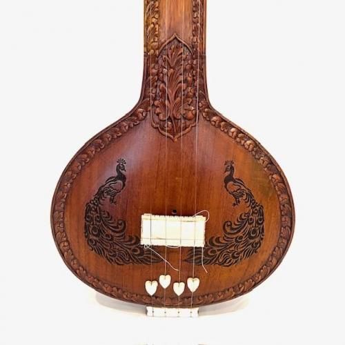 シタール,サロード(その他インドの弦楽器)/Strings in India