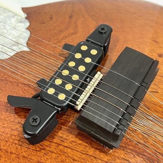 [Shahid Ali ]シタール ケース付き Travel Sitar トラベルシタール ピックアップ付き Shahid Ali製