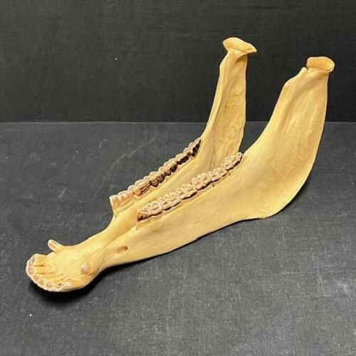 <img class='new_mark_img1' src='https://img.shop-pro.jp/img/new/icons55.gif' style='border:none;display:inline;margin:0px;padding:0px;width:auto;' />ϡquijada13ڥ롼