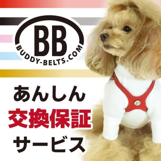 Buddybelt バディーベルトあんしん交換保証サービス Buddybelts正規輸入販売店 犬用品はペットサロン シアンドゥシュシュ