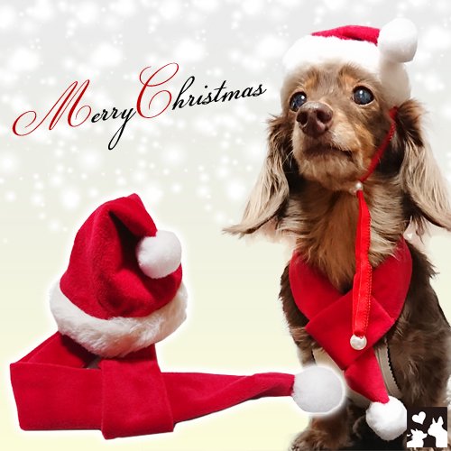 クリスマス サンタクロース帽子 マフラー Buddybelt バディーベルト 犬用品はペットサロン シアンドゥシュシュ