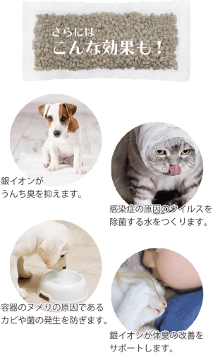 Bee Mee Nee ビッグ ビー ミー ニー ビッグ Buddybelt バディーベルト 犬用品はペットサロン シアンドゥシュシュ Bee Mee Nee ビッグ ビー ミー ニー ビッグ Buddybelt バディーベルト 犬用品はペットサロン シアンドゥシュシュ
