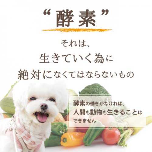 【即納】≪クロム・エル・シェイク≫生酵素(犬用・猫用・ペット用液状酵素・栄養補助食品)