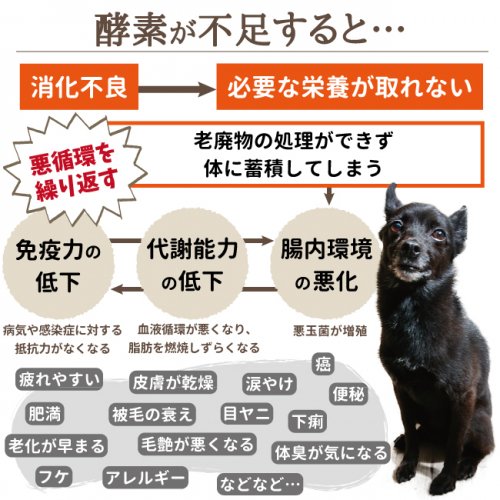 愛犬の健康と長生きをサポート クロム エル シェイク生酵素 0ml Buddybelt 愛犬の健康と幸せのために バディーベルト専門サイト 犬用品 シアンドゥシュシュ