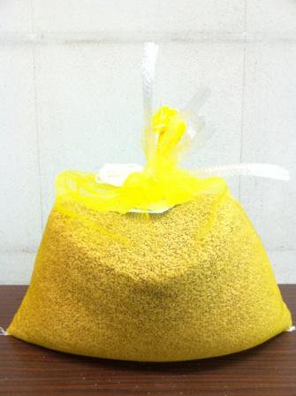 令和5年産「ミズホチカラ」 種籾 1kg～ - のうけん☆ONLINE SHOP☆