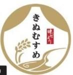 ٥롡̤हᡡ100