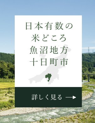 日本有数の米どころ 魚沼地方 十日町市