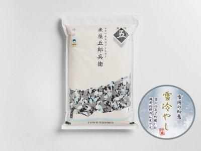 新米】令和4年産 十日町産魚沼コシヒカリ 米屋五郎兵衛 棚田米 精米 ...