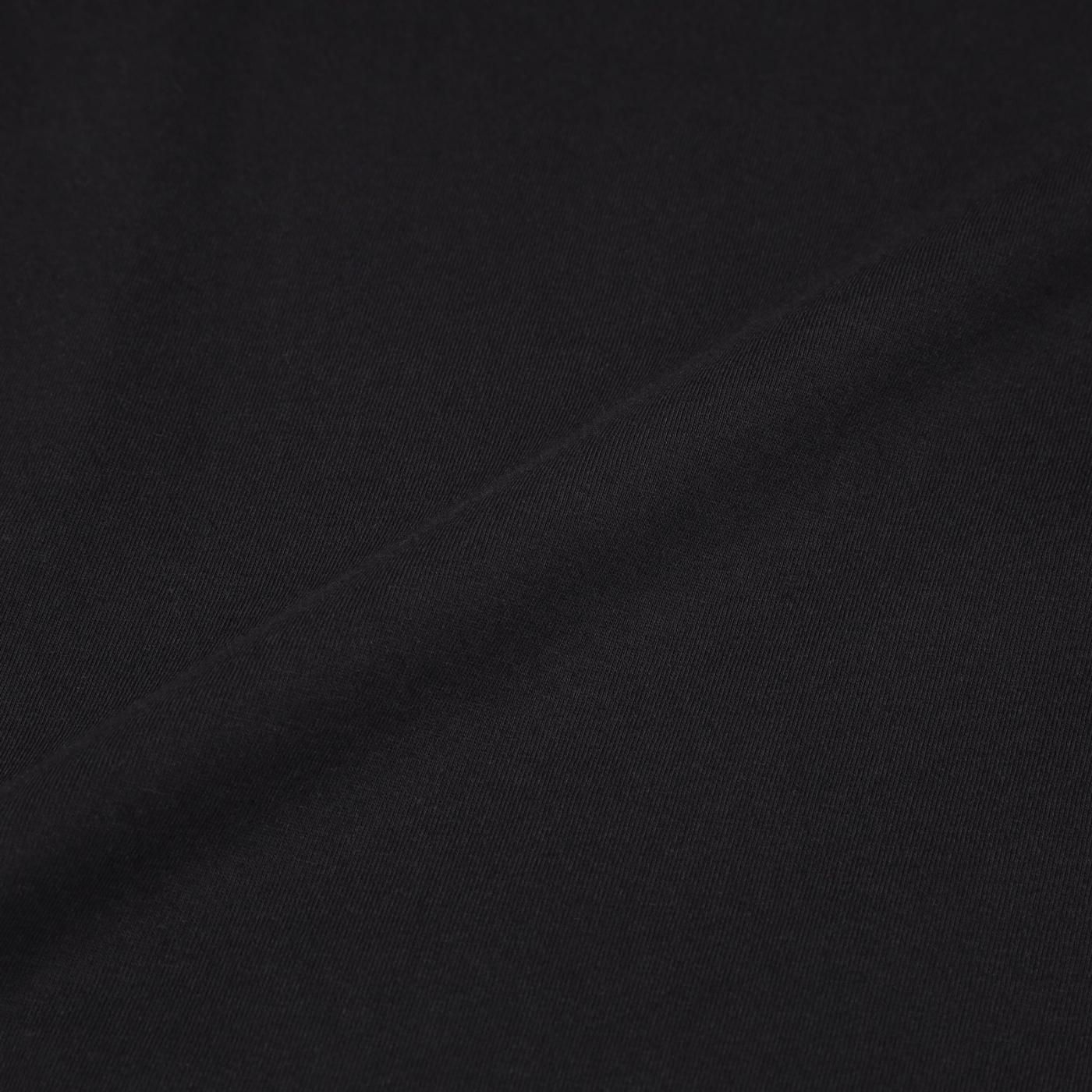 Tシャツ メンズ 北斎 浮世絵 タイガー ”Tomorrow is another day