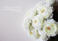 【Ranunculus】ラナンキュラス：ホワイト