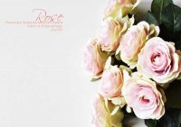 【Rose】ローズ：ピンクグリーン