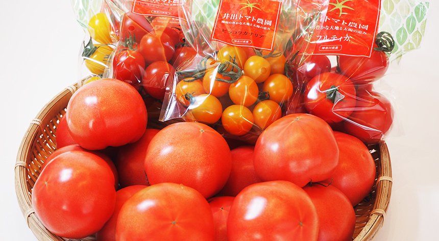 トマト5種詰合せ