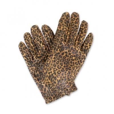 ランプグローブ Lamp gloves ランプグローブス