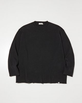 RADIALL/ǥ/Falcon Wagon CREW NECK SWEATER L/S/롼ͥå˥åȥ/BLACK