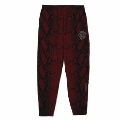 BUENA VISTA/֥ʥӥ/TRAINING PANTS PYTHON/ȥ졼˥󥰥ѥĥѥ/BORDEAUX