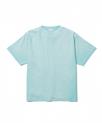F-LAGSTUF-F/ե饰/FADE TEE/硼ȥ꡼T/MINT