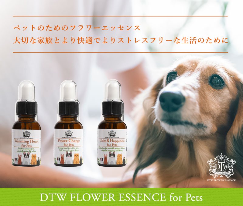 DTW Flower Essence for Pets