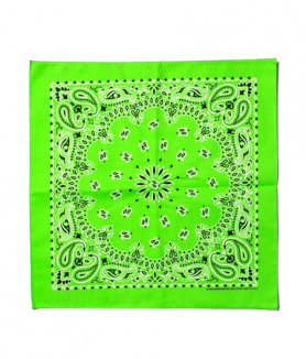 <img class='new_mark_img1' src='https://img.shop-pro.jp/img/new/icons47.gif' style='border:none;display:inline;margin:0px;padding:0px;width:auto;' />HAV-A-HANK22inch BANDANA - LIME Х USA 饤॰꡼ ڥ꡼
