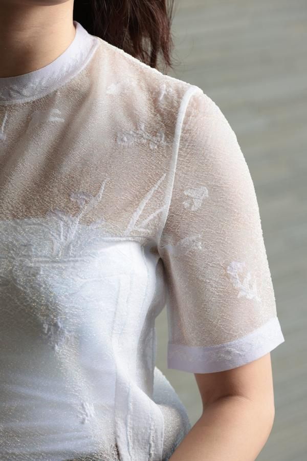 Mame Kurogouchi(マメ) Nature Pattern Sheer Knitted Crew Neck