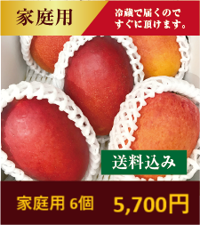 ѥޥ󥴡 6