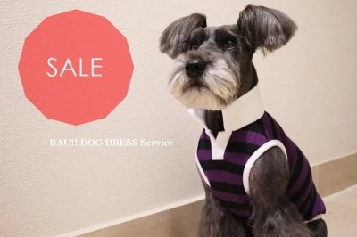 Sale S 28 ラガーシャツ 黒 むらさき Baudogs