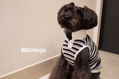 S 53 ラガーシャツ マルチボーダー モノクロ Baudogs