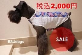 <img class='new_mark_img1' src='https://img.shop-pro.jp/img/new/icons16.gif' style='border:none;display:inline;margin:0px;padding:0px;width:auto;' />30OFFޥȡä䤫åץϡߥå塡ֲ