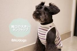 <img class='new_mark_img1' src='https://img.shop-pro.jp/img/new/icons1.gif' style='border:none;display:inline;margin:0px;padding:0px;width:auto;' />µ礭󥯥ȥåסŷ˥åȡ졼٥꡼