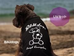 UVåȲùۥʥ饹ȡ󥯥ȥåס֥åۥ磻