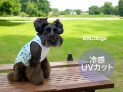<img class='new_mark_img1' src='https://img.shop-pro.jp/img/new/icons1.gif' style='border:none;display:inline;margin:0px;padding:0px;width:auto;' />µ礭󥯥ȥåס䴶Ҥꡡ륯˥åȡߥȤʥڥ󥮥