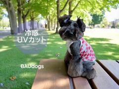 <img class='new_mark_img1' src='https://img.shop-pro.jp/img/new/icons1.gif' style='border:none;display:inline;margin:0px;padding:0px;width:auto;' />µ礭󥯥ȥåס䴶Ҥꡡ륯˥åȡåץɥå