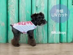 <img class='new_mark_img1' src='https://img.shop-pro.jp/img/new/icons1.gif' style='border:none;display:inline;margin:0px;padding:0px;width:auto;' />䴶ۤҤꡡ륯˥åȡåץɥåȥޥ