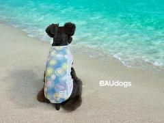 <img class='new_mark_img1' src='https://img.shop-pro.jp/img/new/icons1.gif' style='border:none;display:inline;margin:0px;padding:0px;width:auto;' />åޥȡä䤫åץϡߤֲ