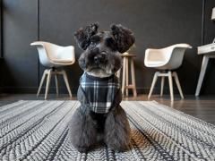 <img class='new_mark_img1' src='https://img.shop-pro.jp/img/new/icons1.gif' style='border:none;display:inline;margin:0px;padding:0px;width:auto;' />󥯥ȥåסäե꡼åΥ