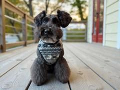 <img class='new_mark_img1' src='https://img.shop-pro.jp/img/new/icons1.gif' style='border:none;display:inline;margin:0px;padding:0px;width:auto;' />󥯥ȥåסäե꡼Υȡ󡡥Υǥå