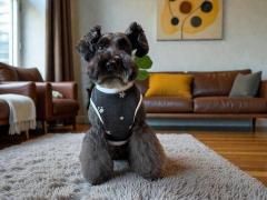 <img class='new_mark_img1' src='https://img.shop-pro.jp/img/new/icons1.gif' style='border:none;display:inline;margin:0px;padding:0px;width:auto;' />󥯥ȥåסդ餫㥬ɡ㥳롡塦