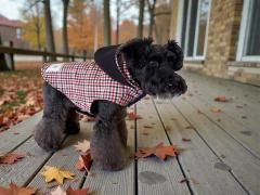 <img class='new_mark_img1' src='https://img.shop-pro.jp/img/new/icons1.gif' style='border:none;display:inline;margin:0px;padding:0px;width:auto;' />���ä���ޥ�ȡ�������ĥ�����3�������å�����åɡߥ������ͥ��ӡ��ߥ����ܥ꡼