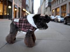 <img class='new_mark_img1' src='https://img.shop-pro.jp/img/new/icons1.gif' style='border:none;display:inline;margin:0px;padding:0px;width:auto;' />�դ�դ���̥ޥ�ȡ�������������å��֥饦��ߥס��ɥ�ե�����