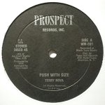 TERRY NOVA (12inch) - Push With SizeTERRY
