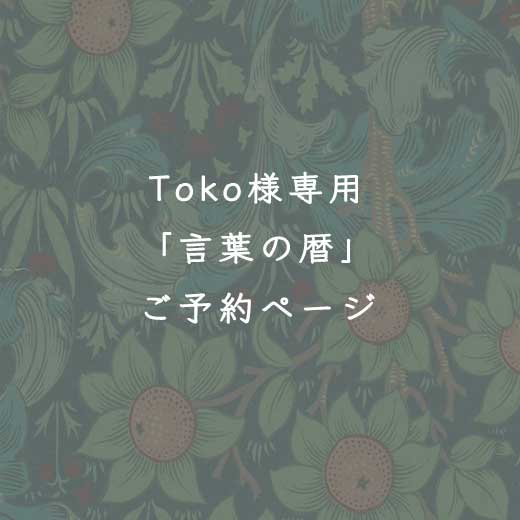 11/8-3</br>դ</br>Toko 
