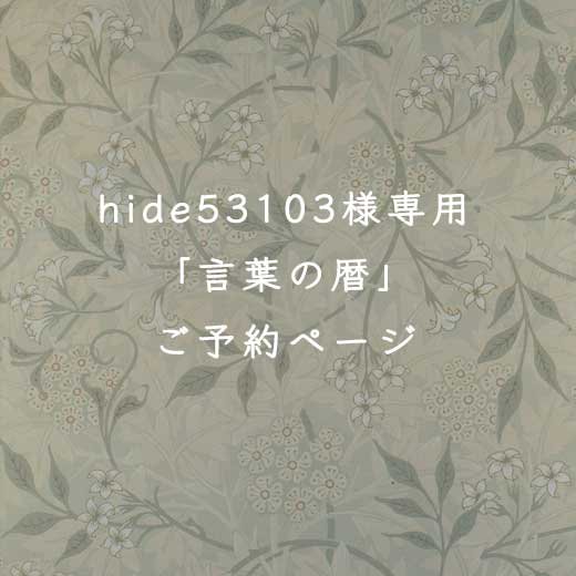 11/9-7</br>դ</br>hide53103 