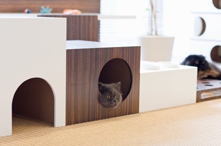 【 quality living with cats 】は、猫と暮らすための家具を中心に、「猫との上質な暮らし」をコンセプトにしたオリジナルグッズをはじめ、インテリア、マンションリフォームを提案いたしております。
